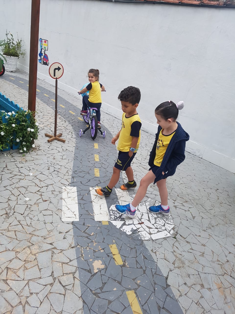 CSI_trânsito (8).jpeg