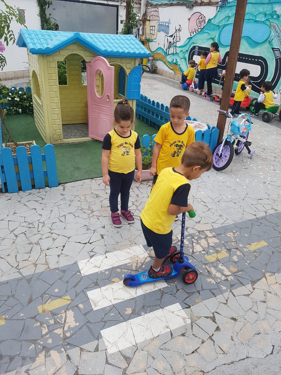 CSI_trânsito (6).jpeg